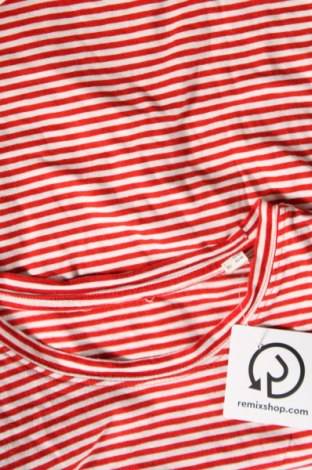 Damen T-Shirt Damen T-Shirt - günstig bei Remix - #128242773 Begrenzt auf 3 Tage