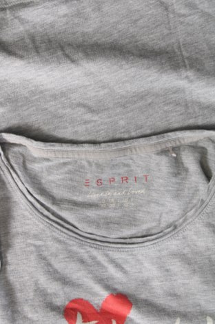 Esprit Damen T-Shirt Esprit - günstig bei Remix - #128937242 2025