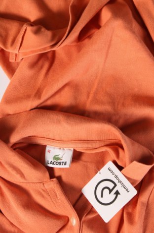 Lacoste Damen T-Shirt Lacoste - günstig bei Remix - #128936532 Fabrikpreis