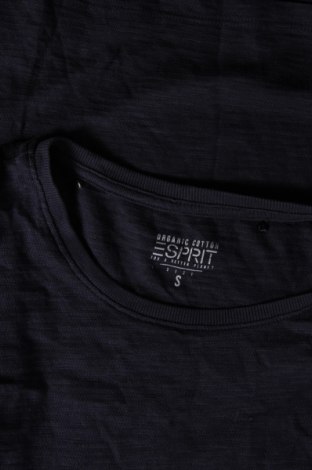 Esprit Damen T-Shirt Esprit - günstig bei Remix - #128510964 Exklusive Angebote
