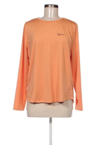 Catamaran Damen Shirt Catamaran - günstig bei Remix - #128795896 Neueste Stile