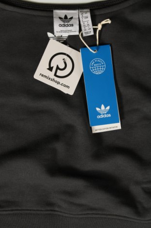 Adidas Damen Shirt Adidas - günstig bei Remix - #128316964 Schlussverkauf