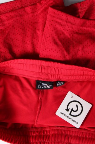 Crane Damen Shorts Crane - günstig bei Remix - #128048157 Kostenloser Versand