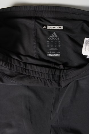 Adidas Damen Shorts Adidas - günstig bei Remix - #127481124 Top Angebot